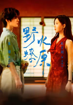 暧昧拉扯太上头 《野火燎原 72集 张翅＆侯呈玥》 2026 高清全集 夸克网盘资源